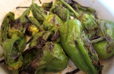 grilled padron peppers recipe